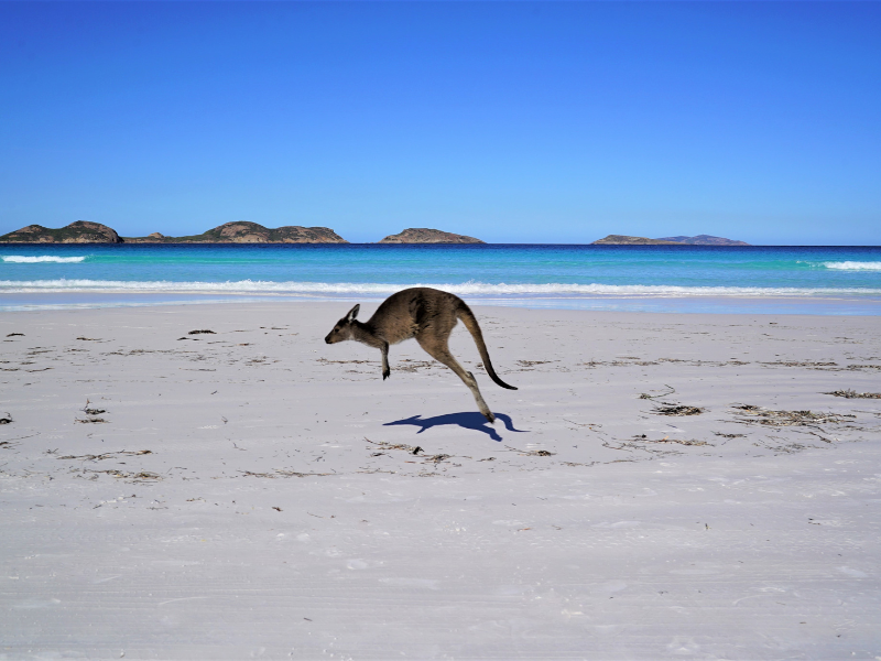 Explore Western Australia: the Great South, from Perth to Perth — 8